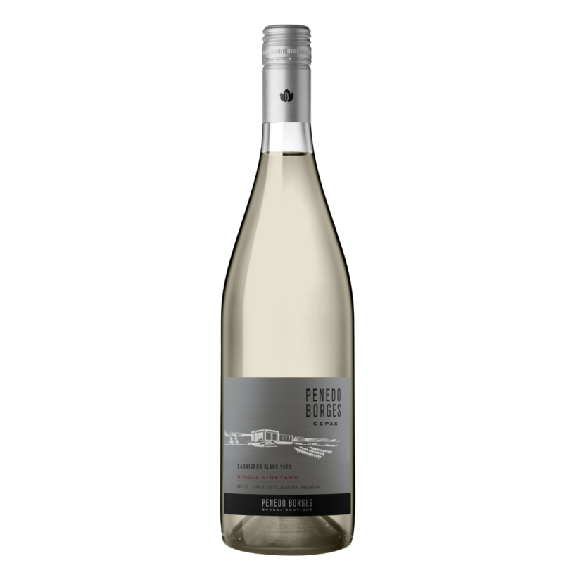 Cepas, Sauvignon Blanc