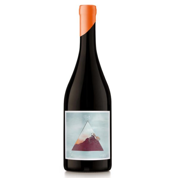 NODO, Cabernet Franc, Gualtallary